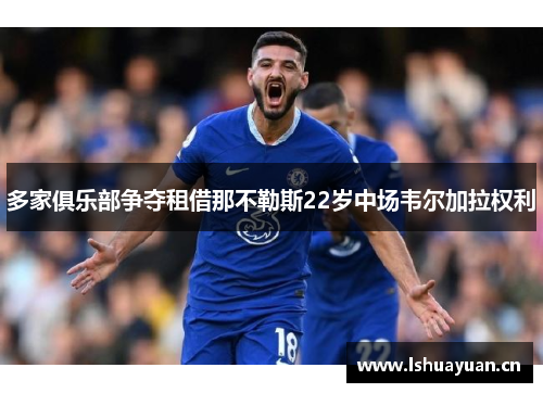 多家俱乐部争夺租借那不勒斯22岁中场韦尔加拉权利